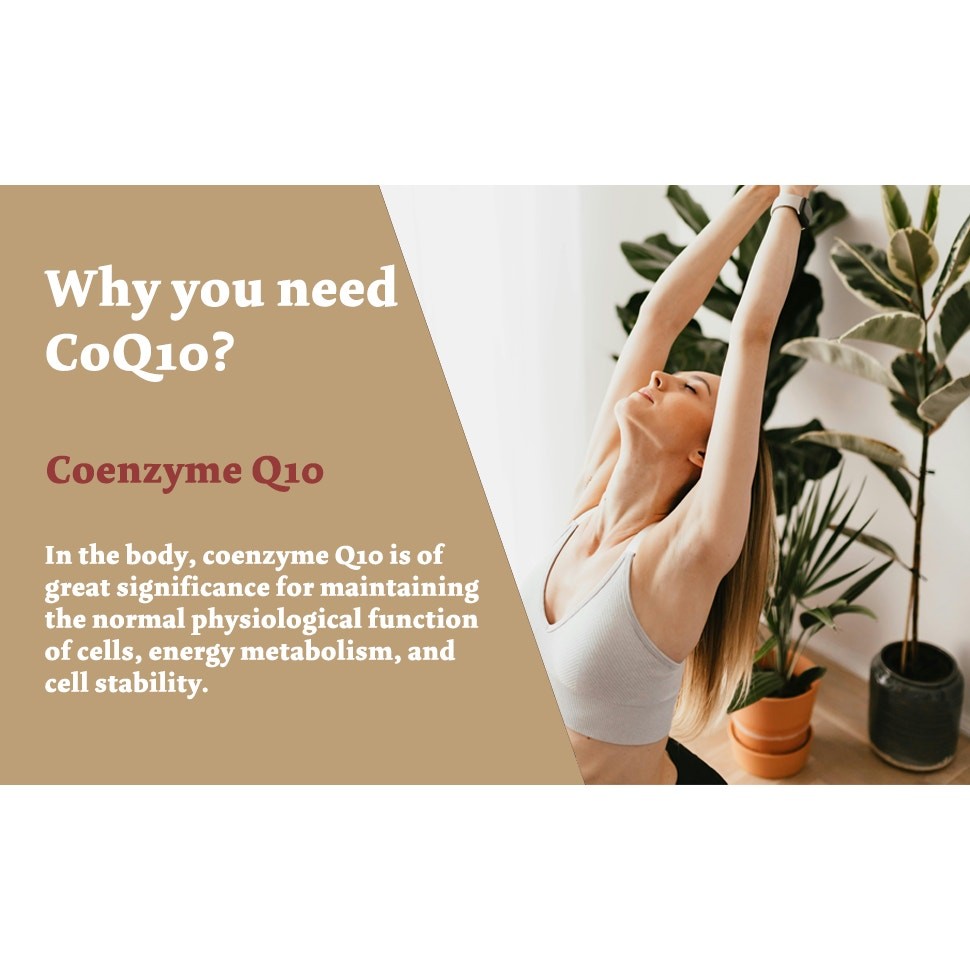 CoQ10 300mg High Absorption 120 Capsules Non-GMO Gluten-Free Dietary Supplement