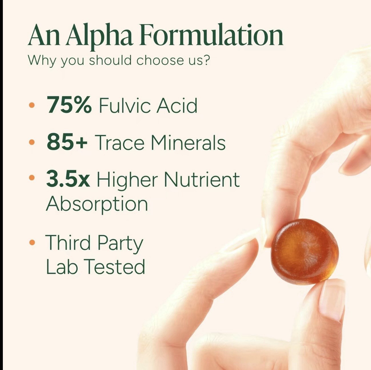 Root Labs 10-in-1 Shilajit Alpha Gummies 4000 mg 60 ct Clean Label Certified