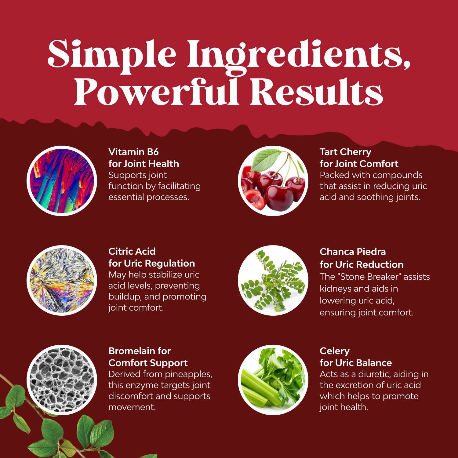 Herbal Uric Acid Cleanse and Detox – Essential Daily Kidney Cleanse