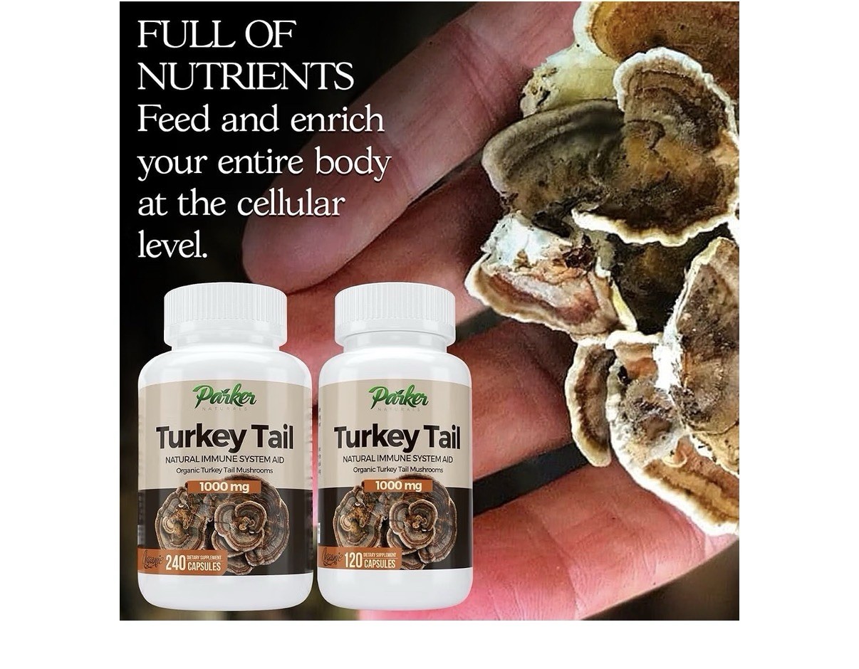 Parker Naturals Turkey Tail Mushroom Organic Supplement Immune System Aid 240cap