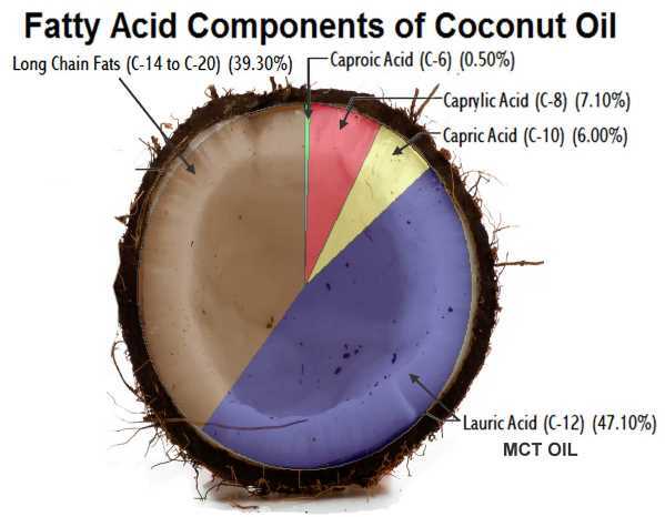 MCT Oil Powder | 4oz to 5lb | Purity Lab Grade