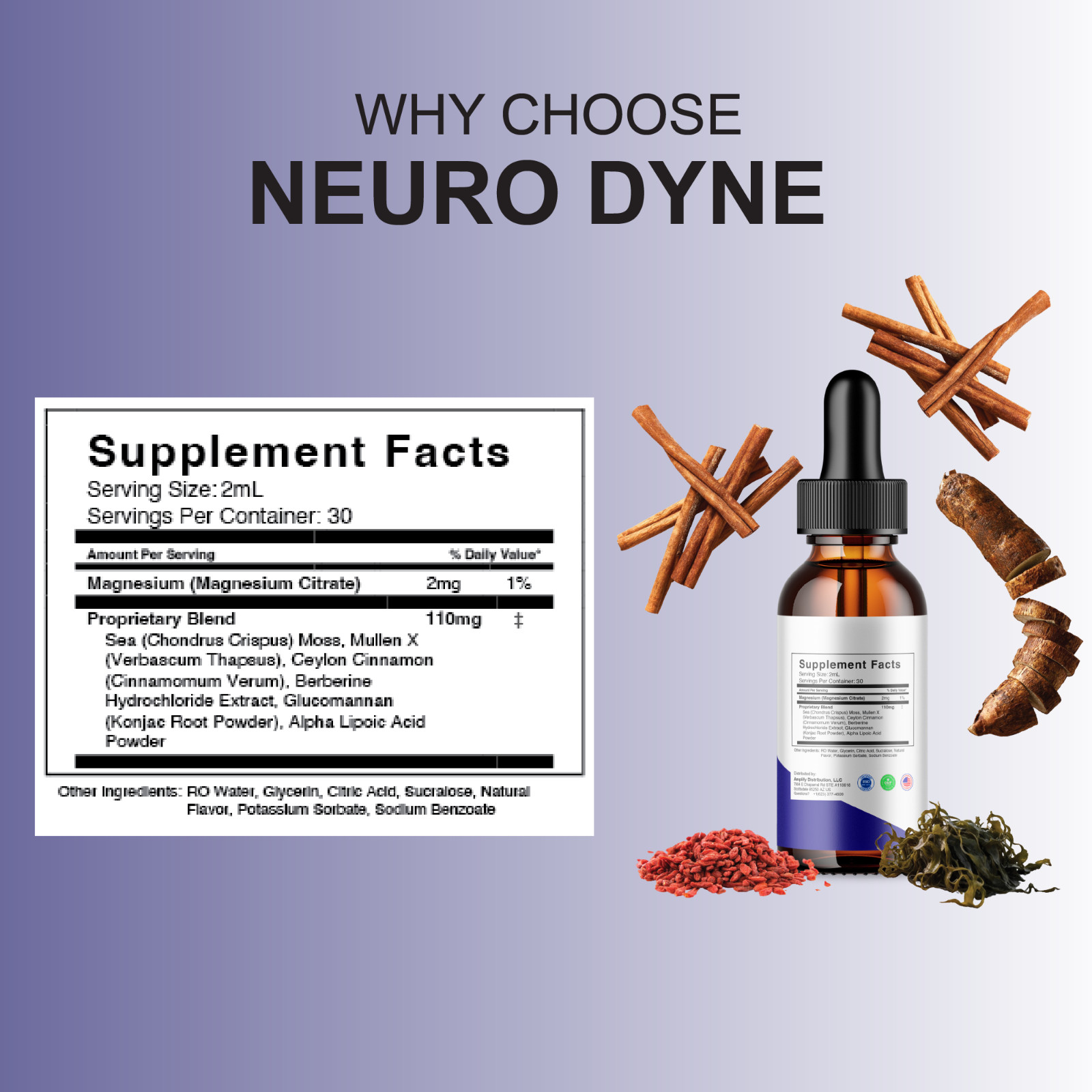 (5 Pack) Neurodyne Premium Nootropic Supplement, Neuro Dyne Max Strength (10oz)
