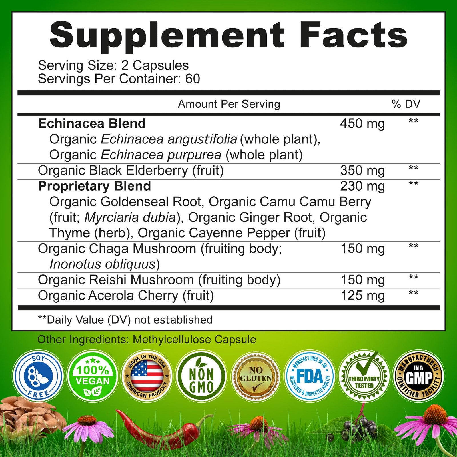 Echinacea Goldenseal Capsules – 10 in 1 Immune Support 120 Count (Pack of 1)