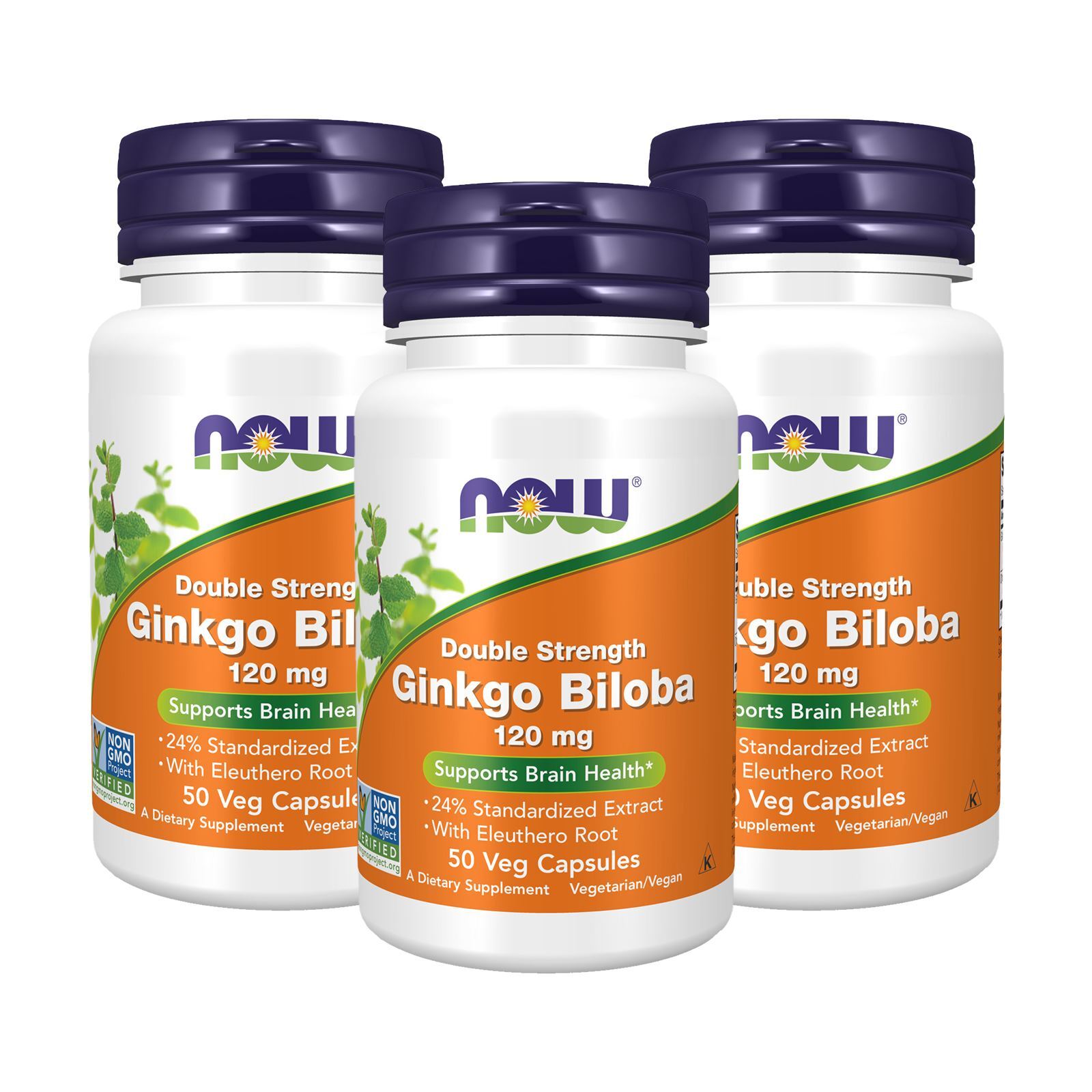 3 x NOW Ginkgo Biloba 120 mg Double Strength Non GMO 50 Veg Caps