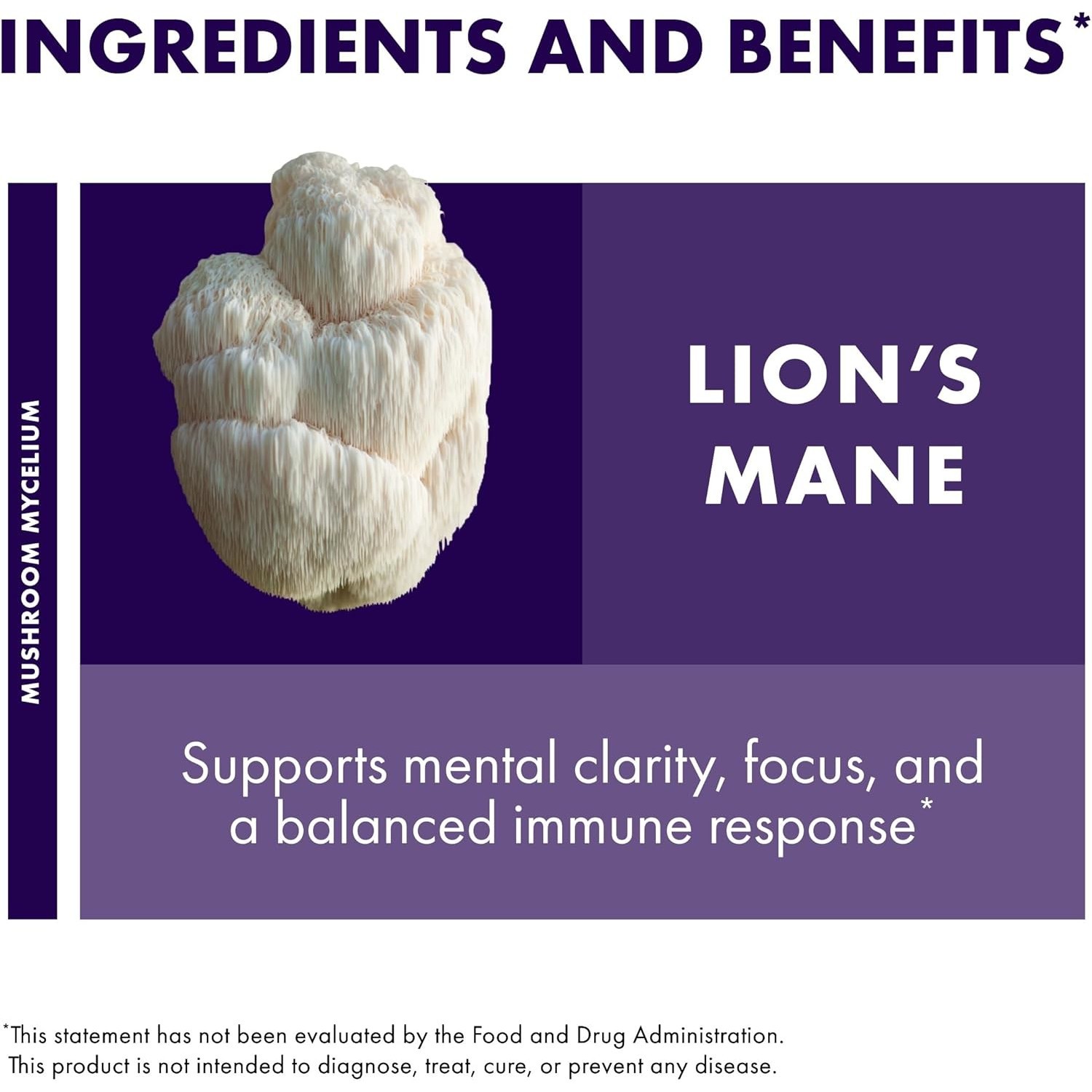 Host Defense Mushrooms Lion’s Mane Extract,Memory,Immune,2FlOz