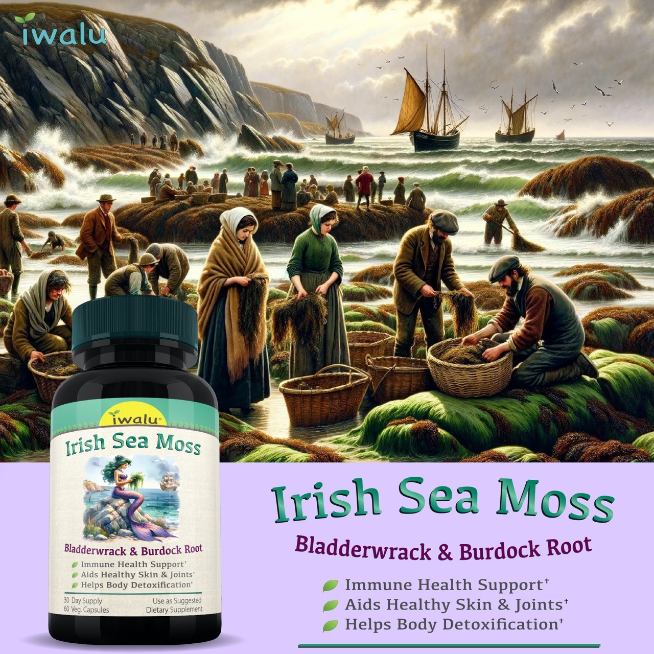 El Mejor Musgo Marino De Irlanda, IWALU | ENVÍO RÁPIDO Y GRATIS El Mismo Día