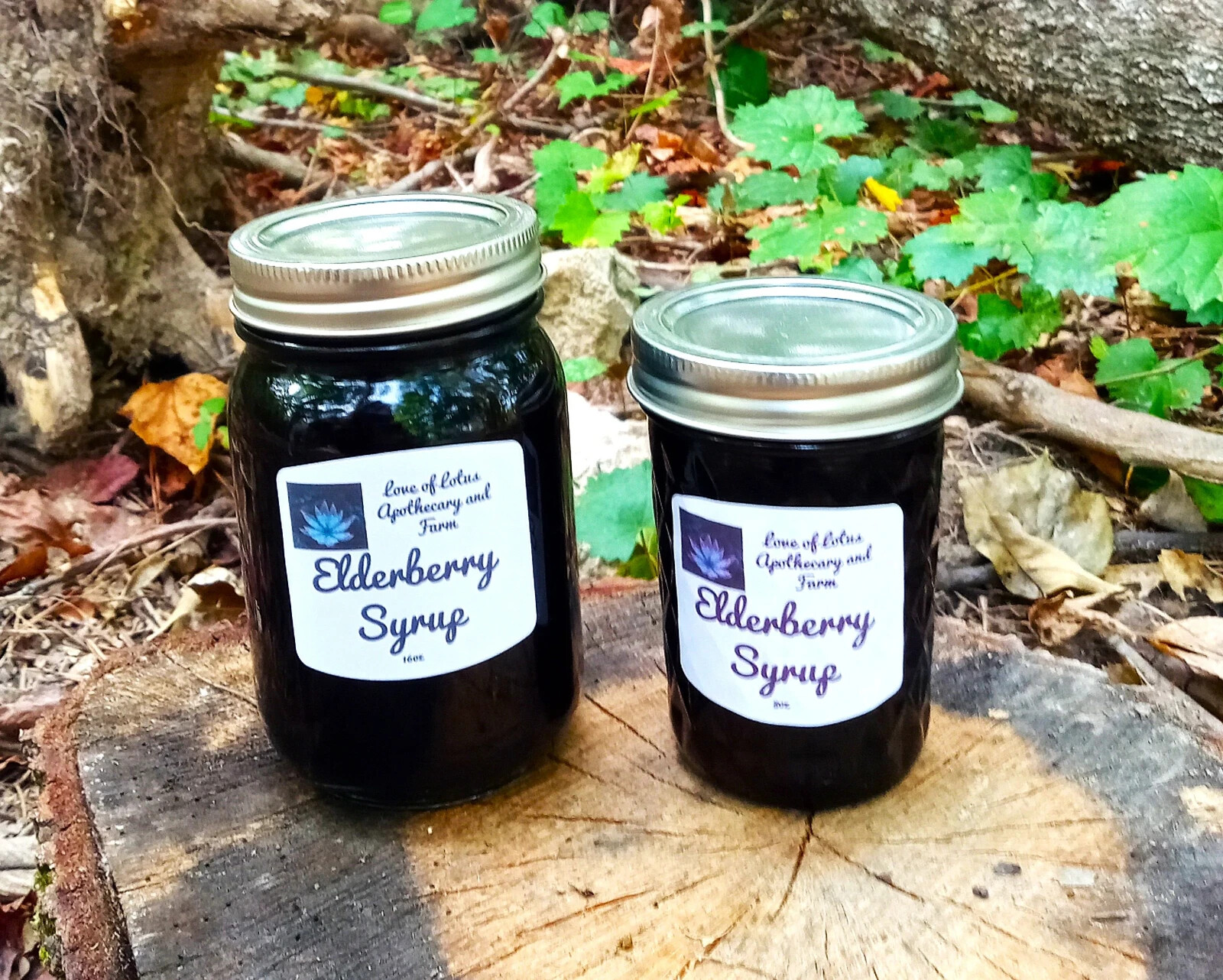 Elderberry Syrup – Organic Ingredients