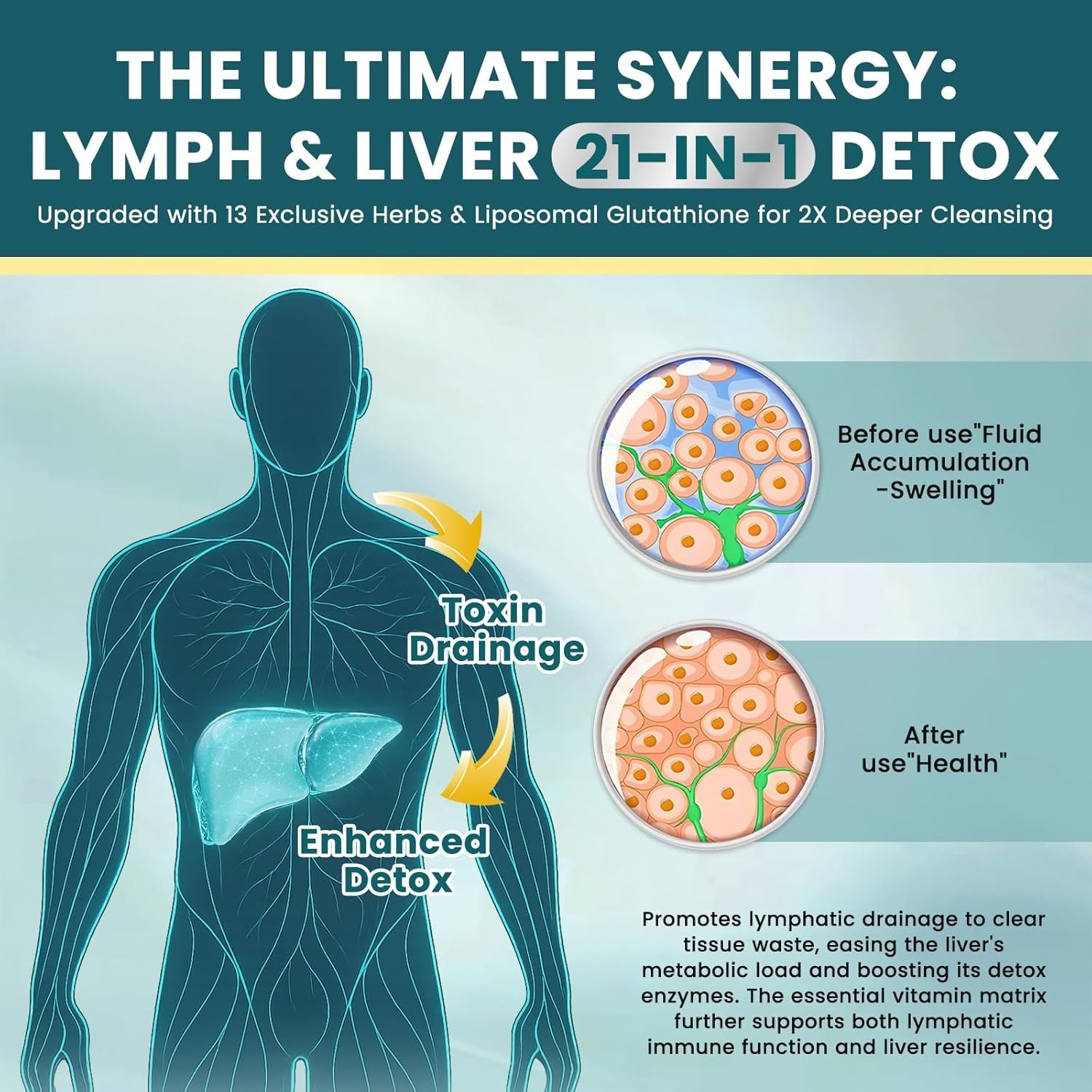Liposomal Lymphatic Drainage Drops – 21 in 1 Liver Cleanse Detox & Repair with M