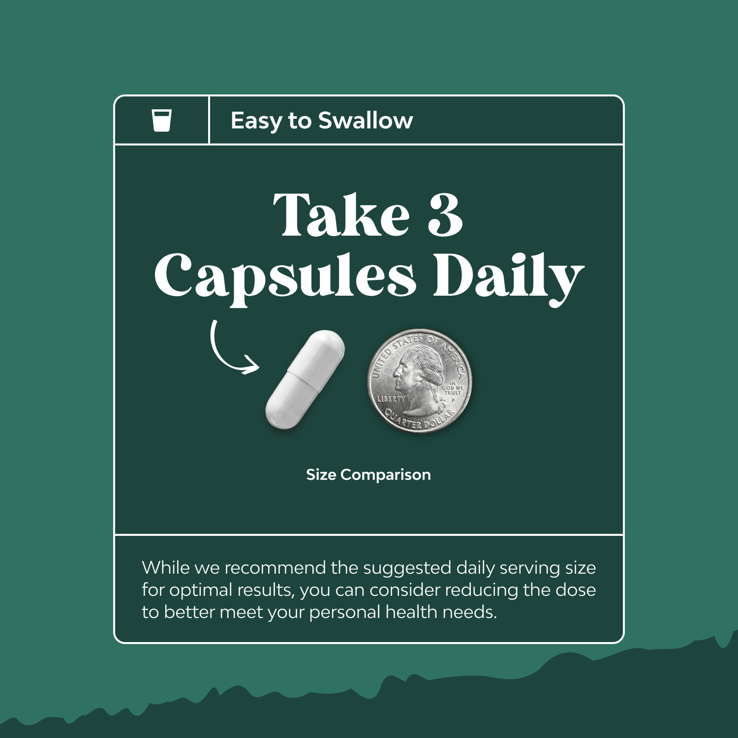 Digestive Enzymes with Ox Bile Supplement – Purified Bile Salts for Digestion