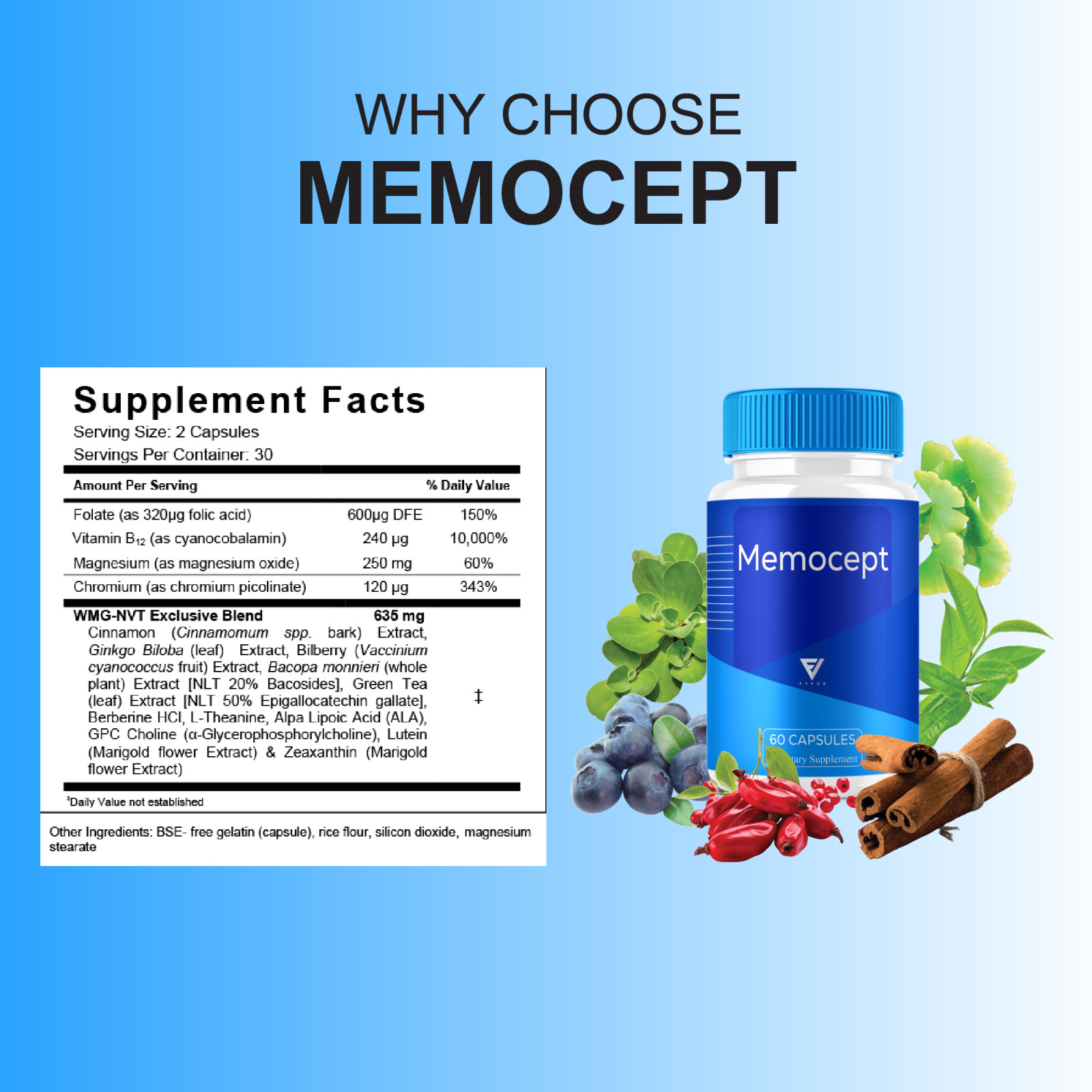 Memocept Advanced Brain Support, Memocept Supplement (60 Capsules)