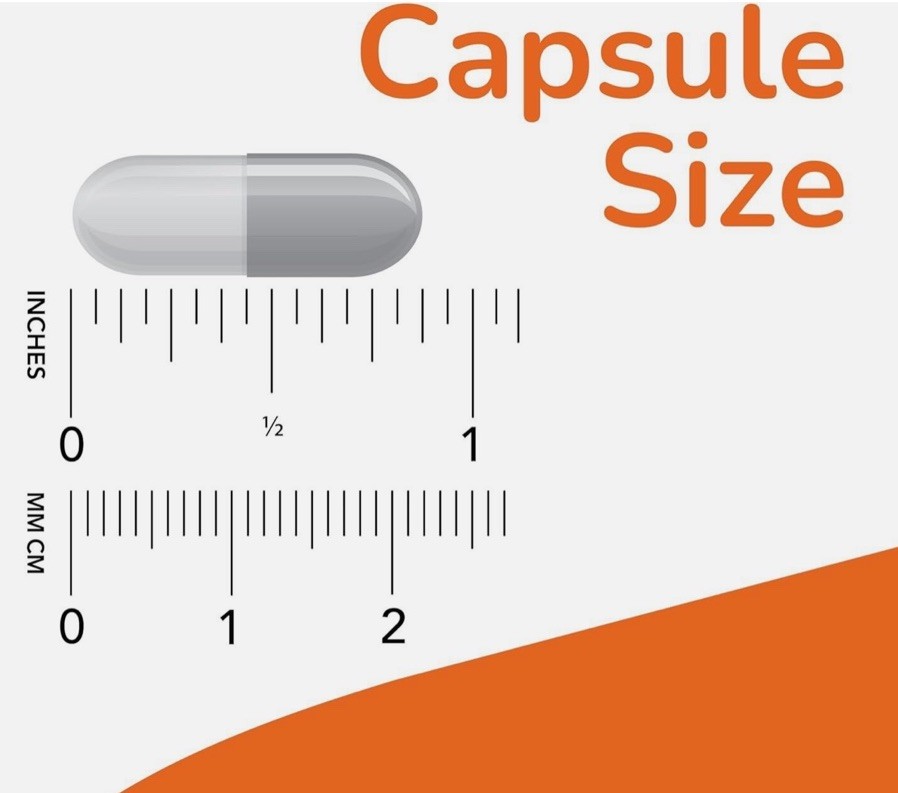 NOW Foods GABA Neurotransmitter Support 750 mg 200 Veg Capsules BB 10/2030 Seal