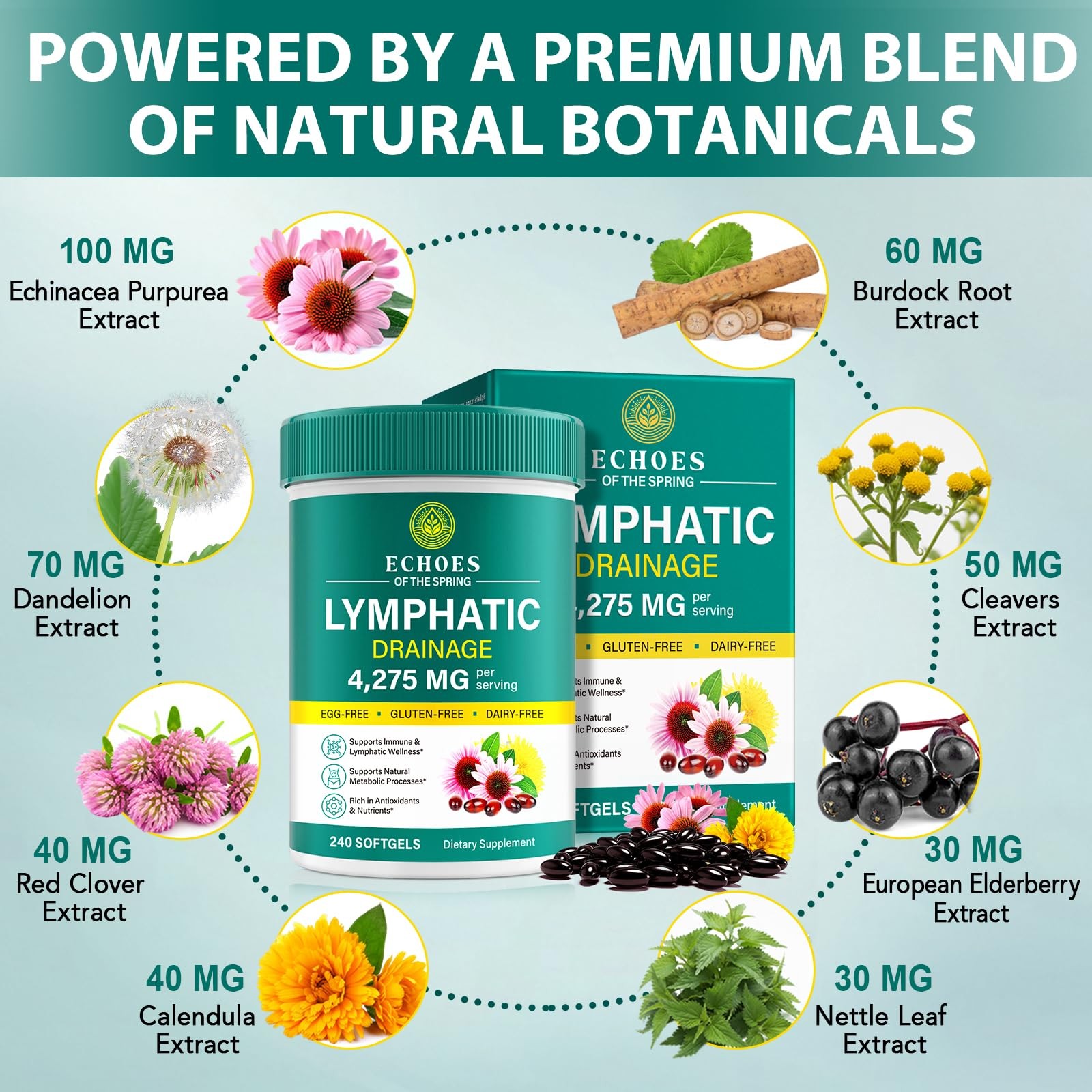 Lymphatic Drainage Lymph System Support Herbal Blend Wellness Drenaje Linfatico