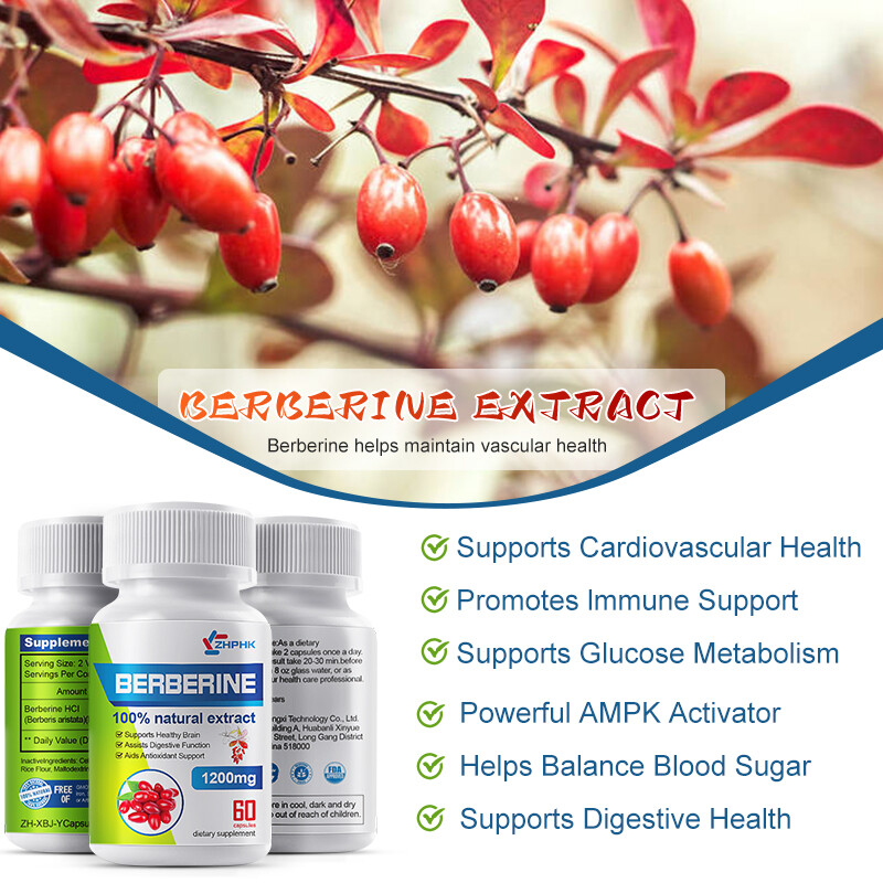 Berberine hard capsules help with anti-inflammatory antioxidant antibacterial