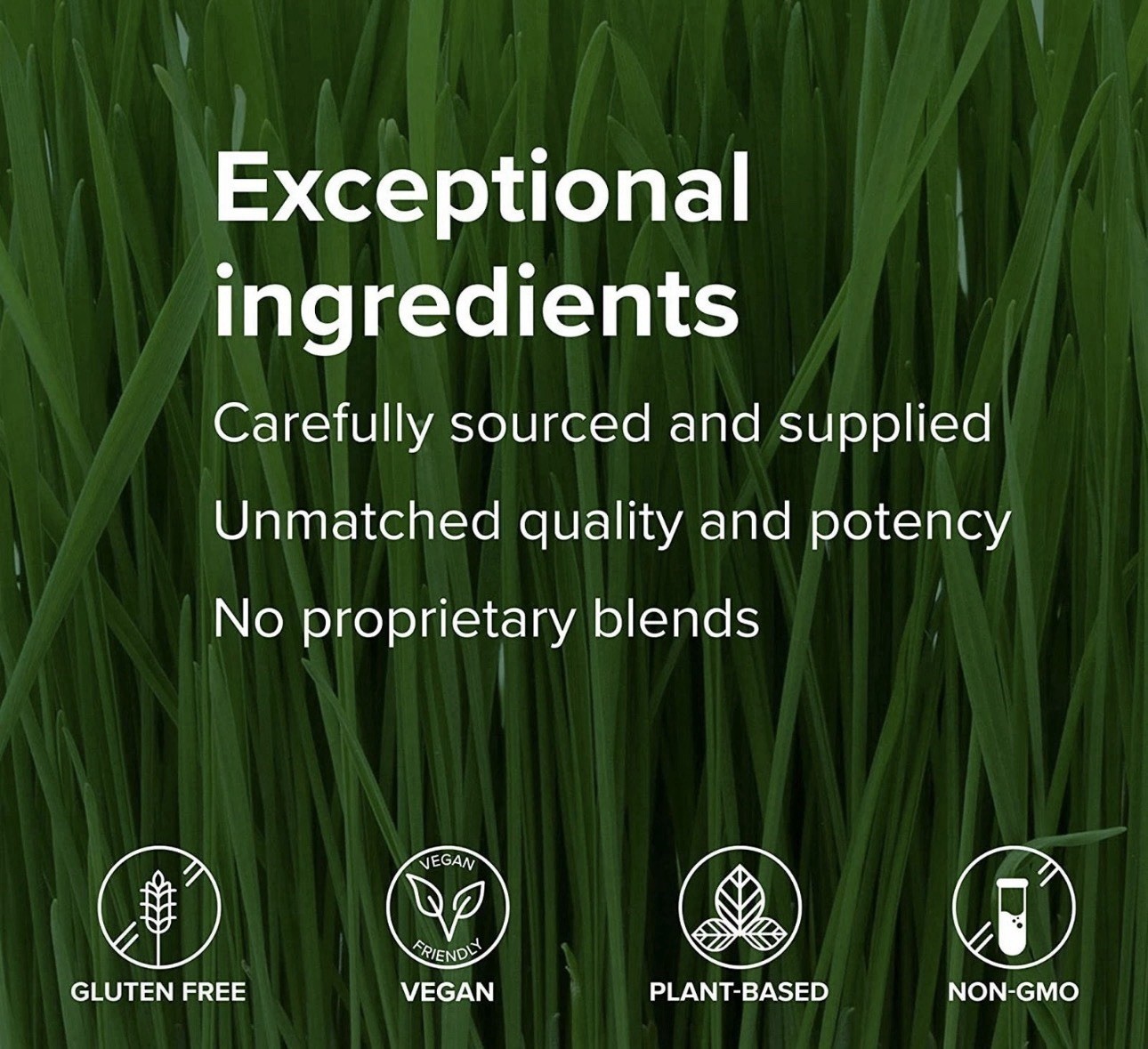 Vibrant Health Maximum Vibrance 21.5 oz Vanilla Plant Base Protein