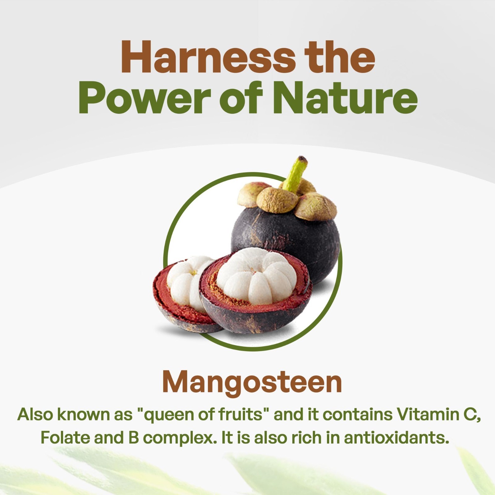 Mangosteen Powder from Pericarp 1 lb. | Pure Superfood Powder Antioxidant