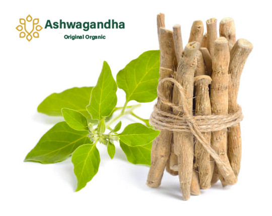 Original Organic Ashwagandha VEGAN – 365 capsules – Highly dosed with 1950 mg