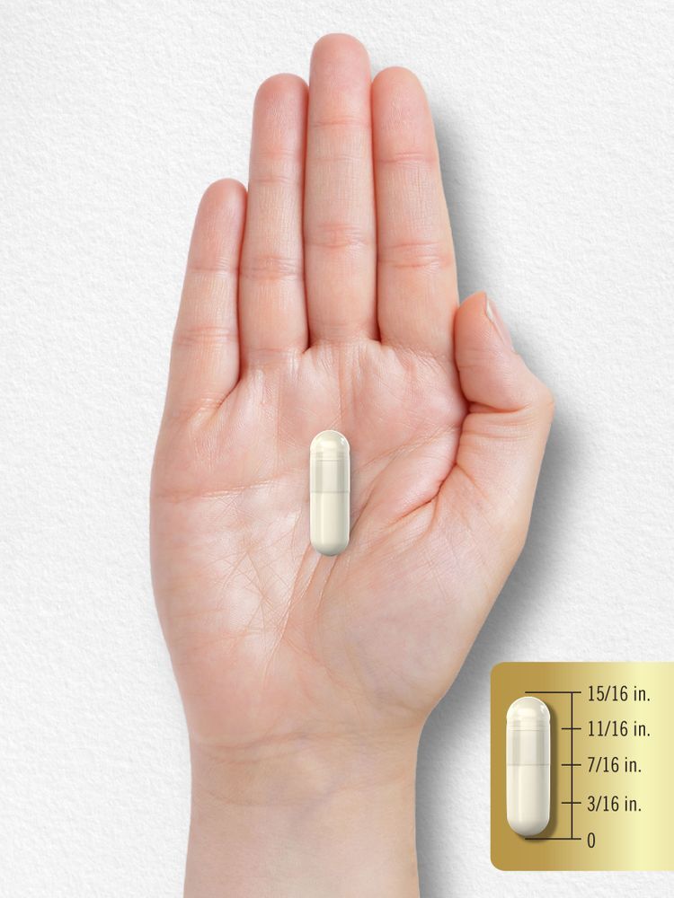 ZMA Capsules | 2400 mg | 90 Count | for Men & Women | Non-GMO | by Carlyle