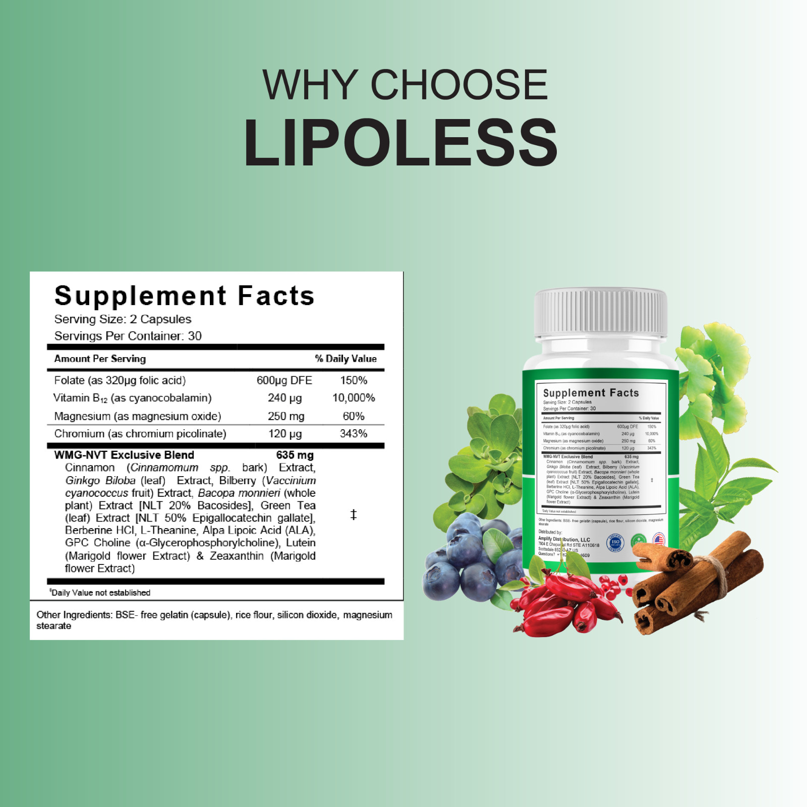 (5 Pack) Lipoless Pro Capsules, Lipoless Advanced Health Formula (300 Capsules)