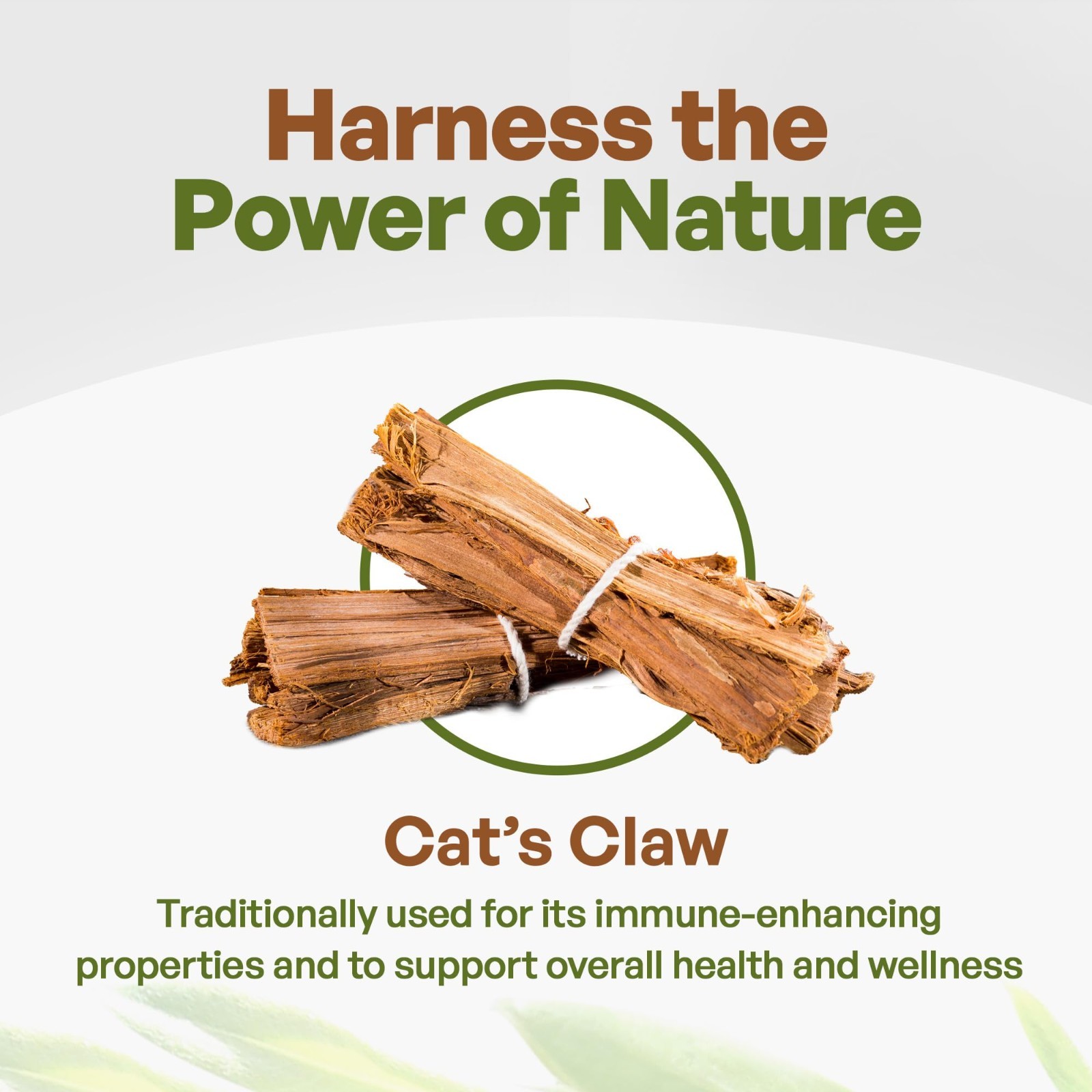 Cat’s Claw Powder 8oz From Peru Wild Pure Cats Claw Supplement Non-Gmo
