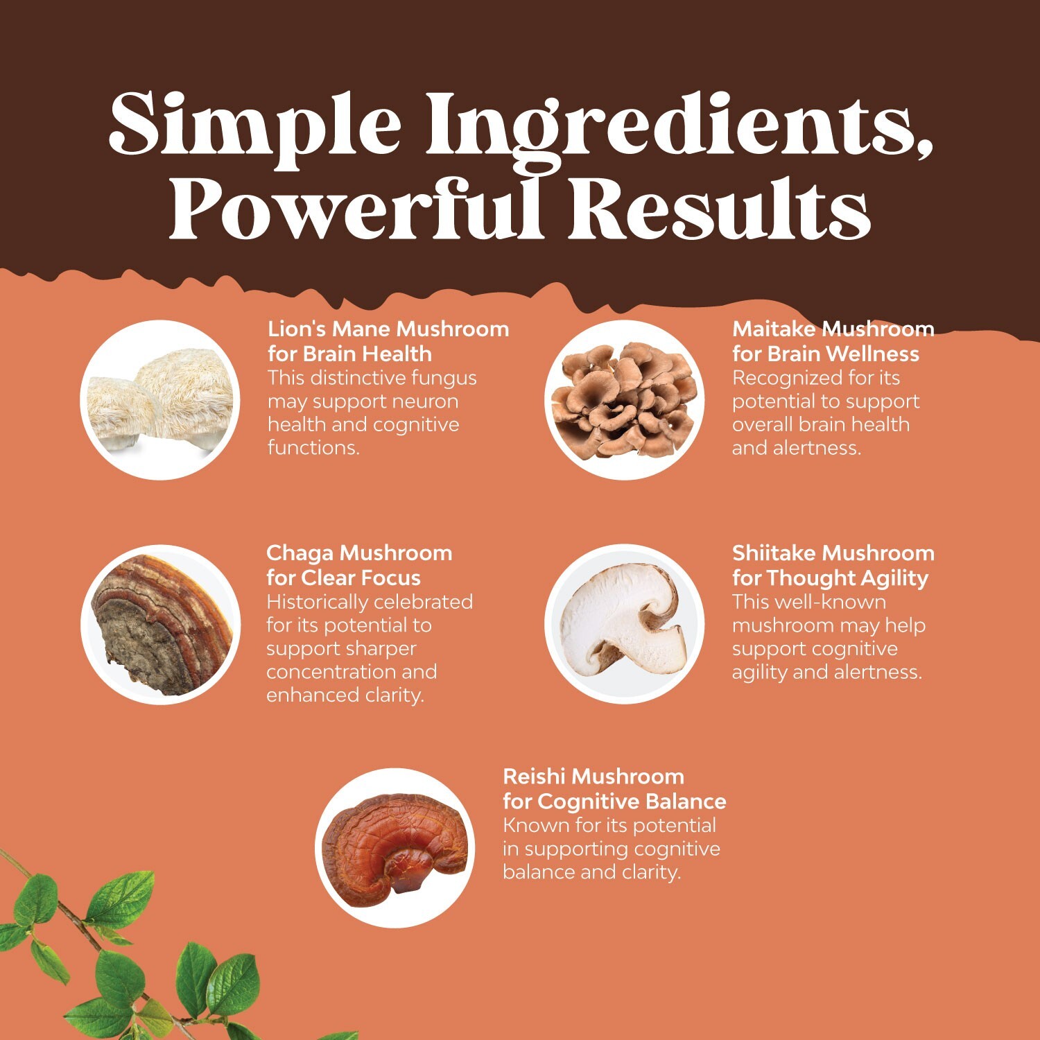 Advanced Mushroom Complex Capsules – 10X Lions Mane Supplement 120ct