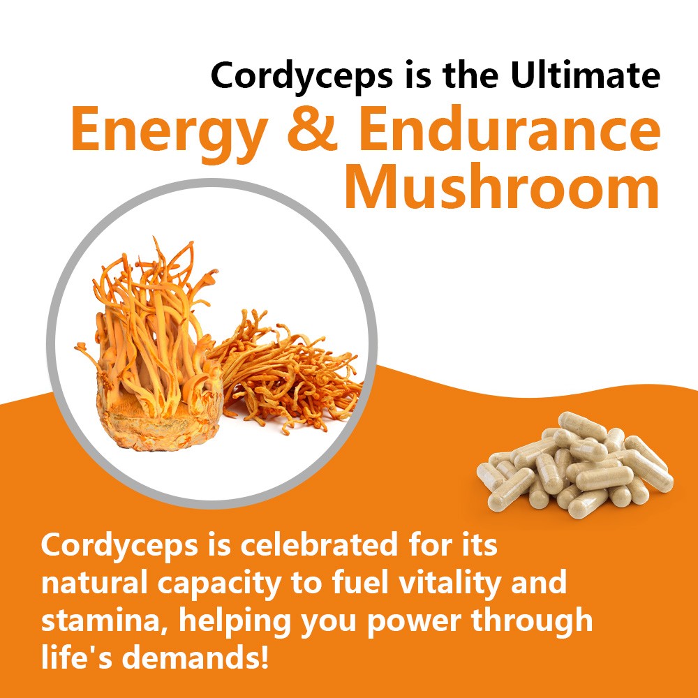 Contains Cordyceps 30/60/120 capsules – supports lung and muscle health