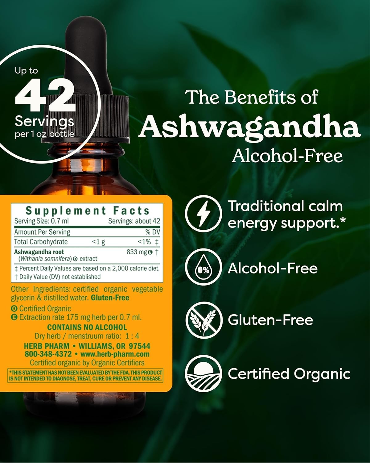 High Potency Ashwagandha Extract to Improve Energy Level & Relaxation (1oz)