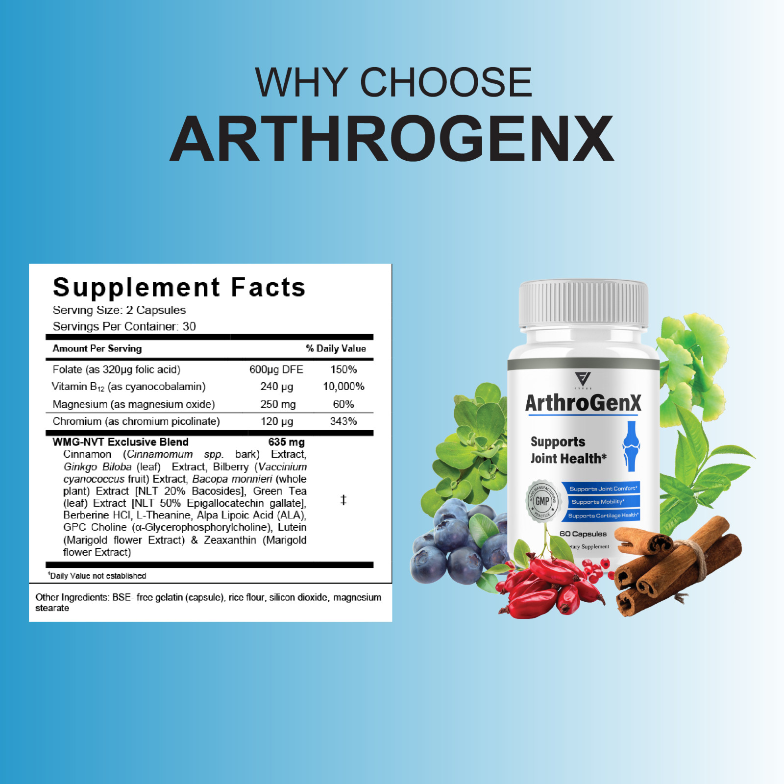 (2 Pack) Arthogenx Advanced Joint Support, Artho Gen X Supplement (120 Capsules)