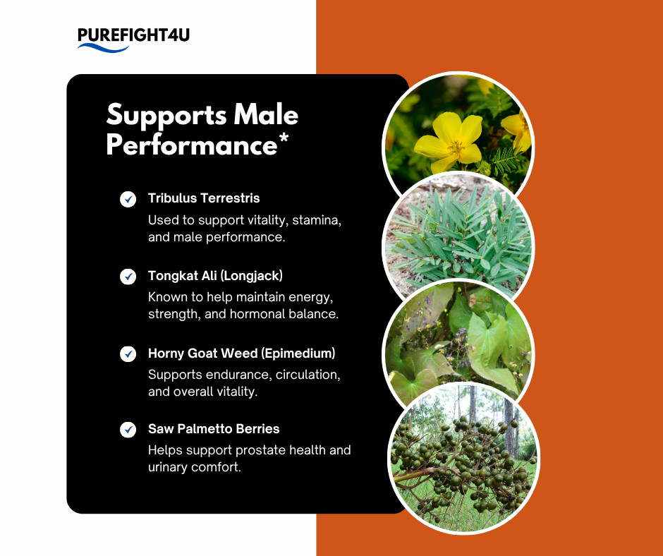 BioXCell Tablets Support Male Performance Supplement – 8 Bottles
