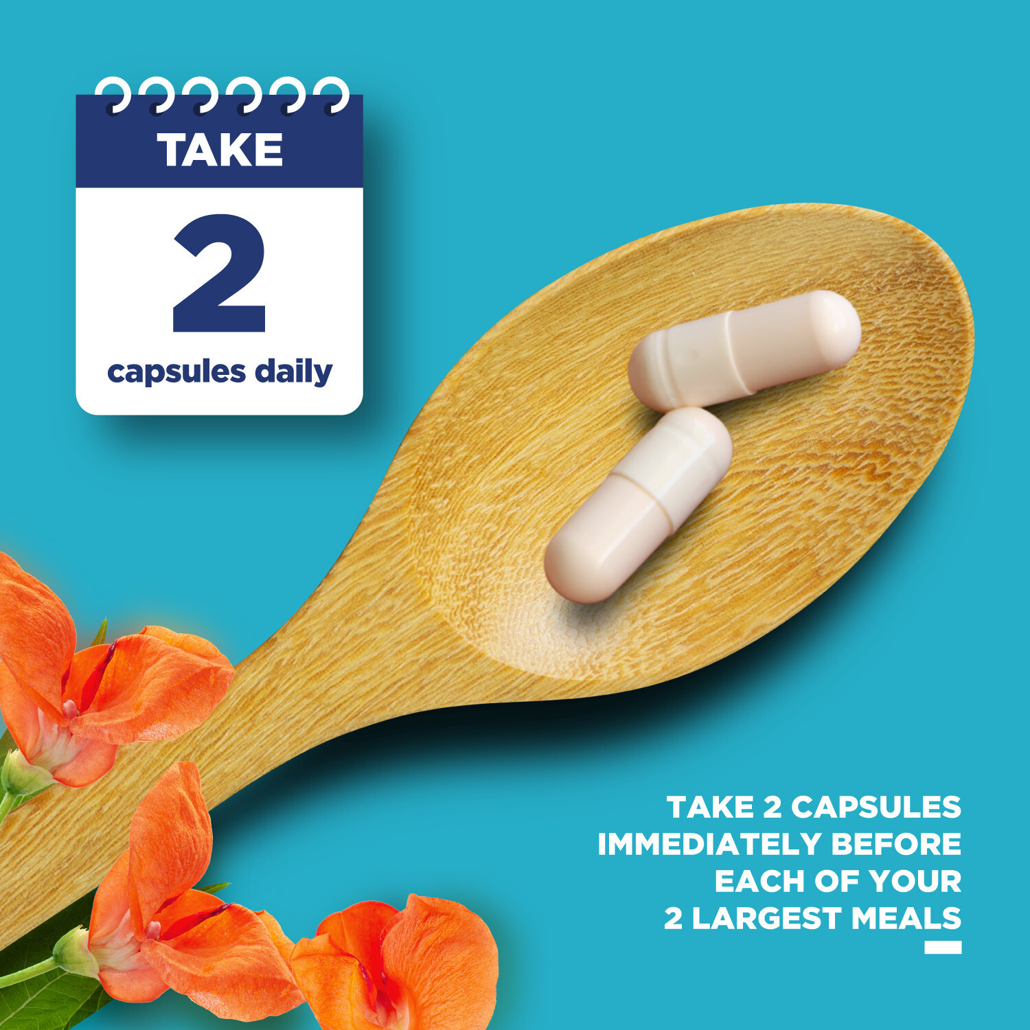 White Kidney Bean Extract Capsules – Ultra High Potency Optimized Extract 120ct