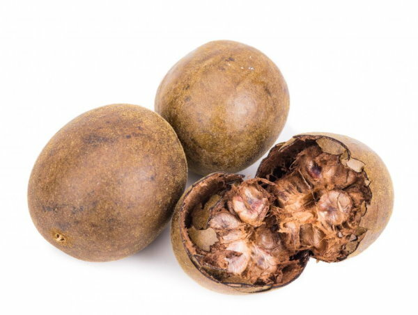MonkFruit Fruit Powder (0.5% mogroside) | 4oz to 5lb | Pure Natural Hand Crafted