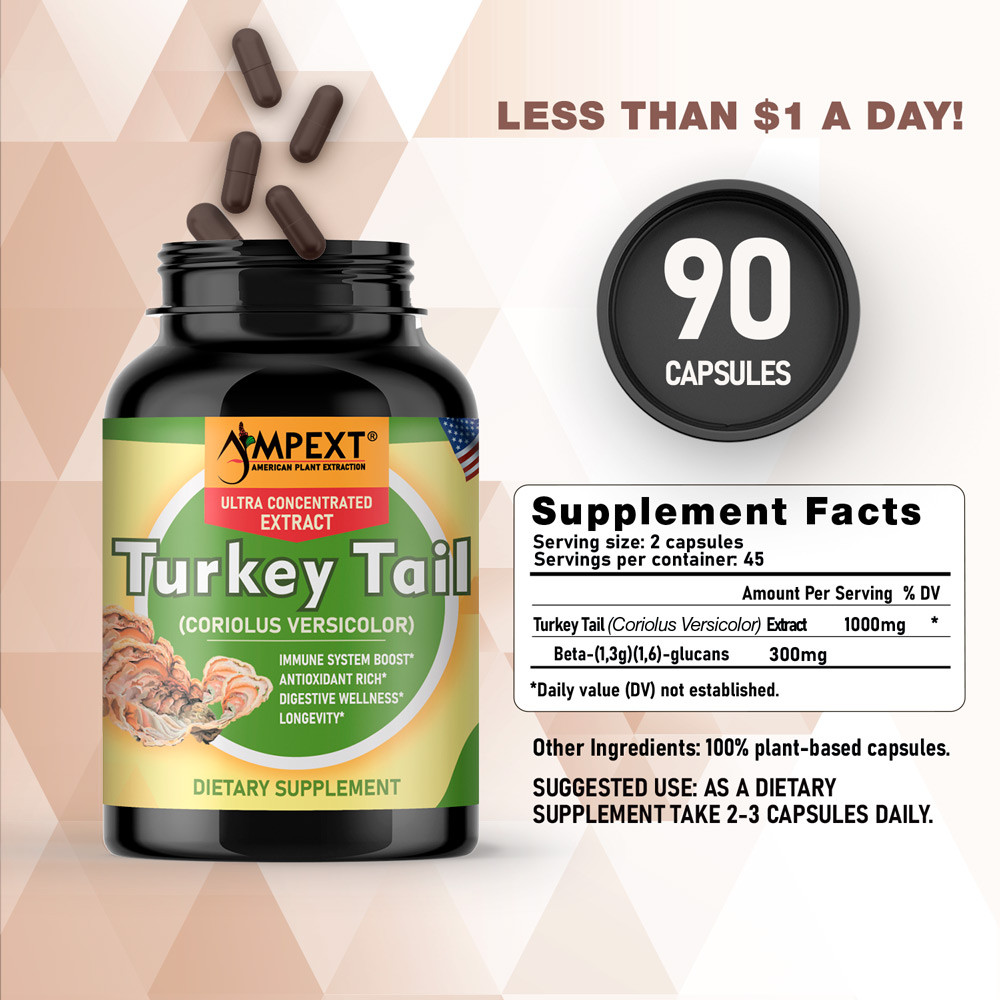 Turkey tail Extract – Only Fruiting Bodies, Over 30% Beta-Glucans, 90 caps