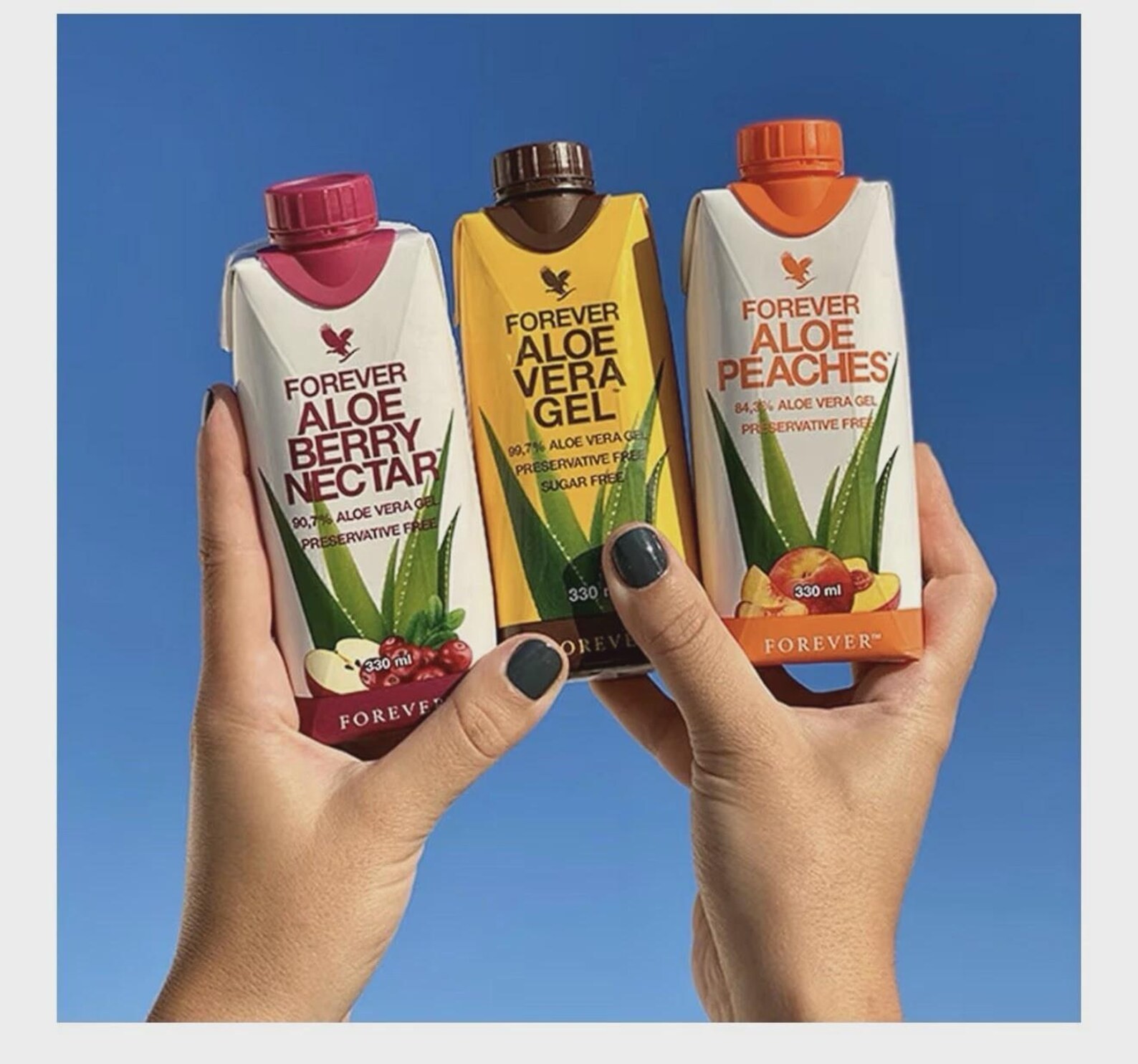 Forever Aloe Vera Gel Berry Nectar Peaches 330ml 12 Pack Variety Bundle Drink
