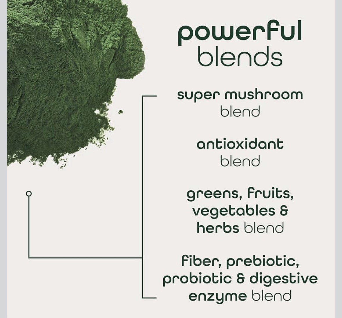 Zena Nutrition Organic Supergreens Powder Zero Sugar Non-GMO Mixed Berry