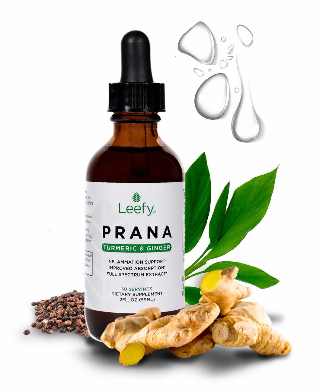 Leefy Turmeric & Ginger Inflammation Support Liquid Drops Vegan Organic 2 fl oz
