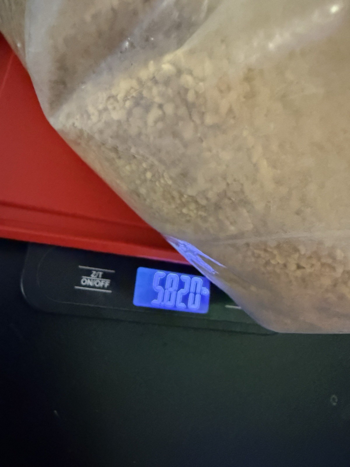 RAW BEE POLLEN 5.82 lb