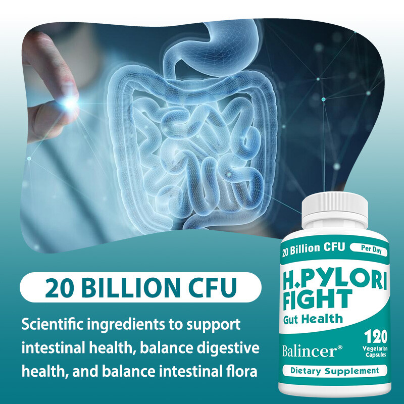 H Pylori Fight Gut Improve Digestive Health Balance Intestinal Flora 120 Count
