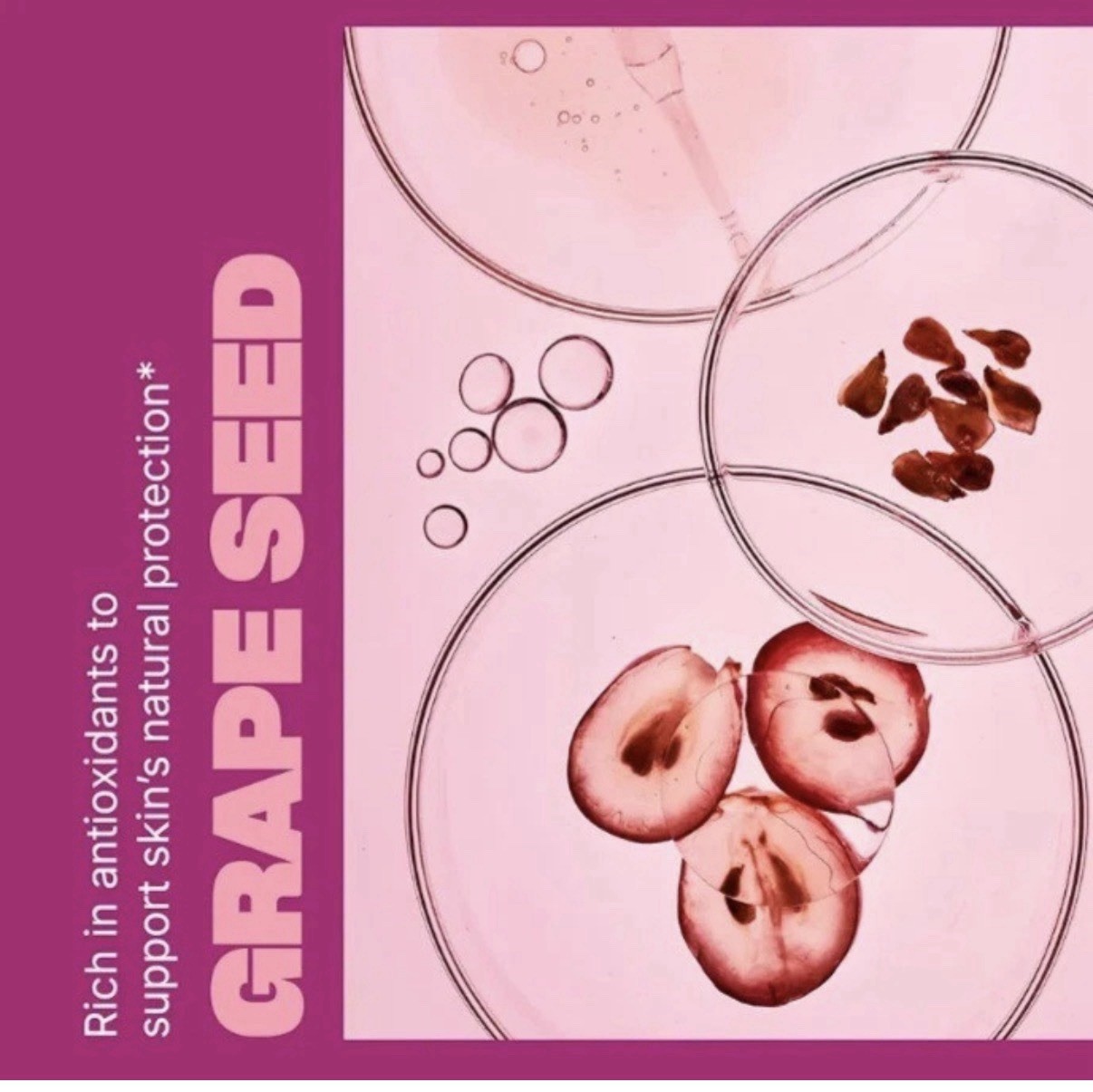 Swisse Grape Seed Extract Grapeseed Antioxidant Supplement w/ Vitamin C 300 CT