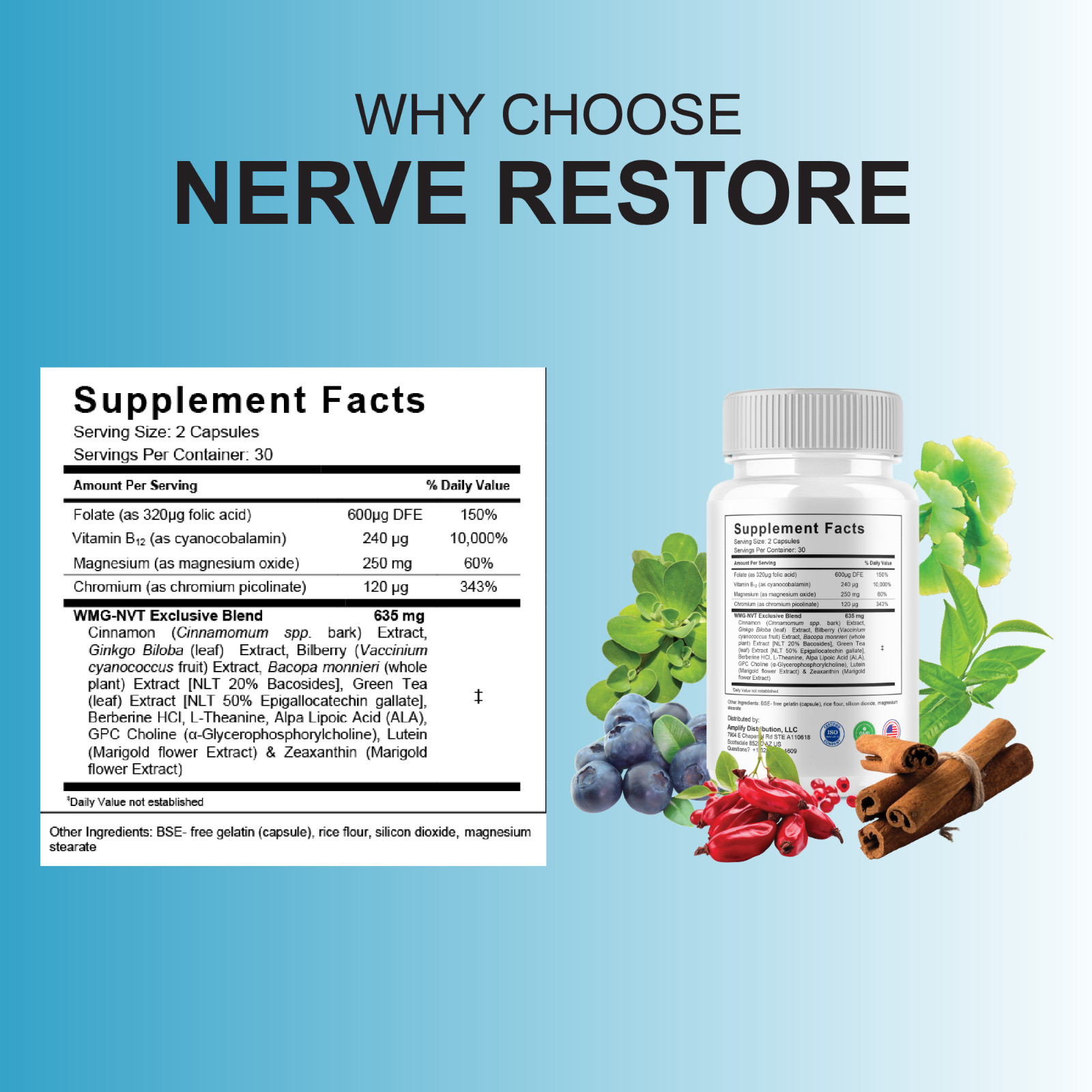 (5 Pack) Nerve Restore Advanced Formula, NerveRestore Max Health (300 Capsules)