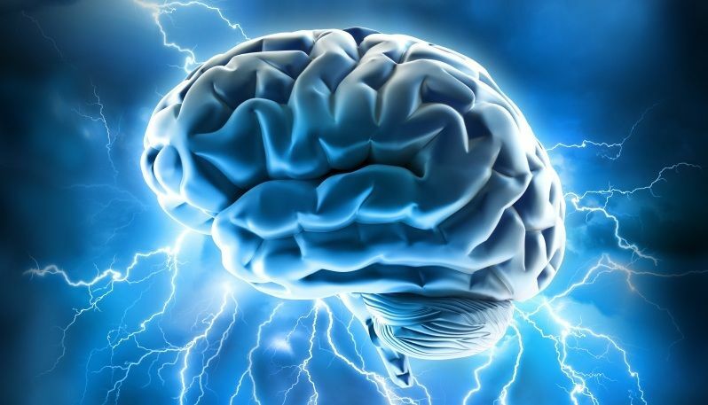 blood sugar supplements top – ADRENAL SUPPORT – brain food 3 BOTTLE