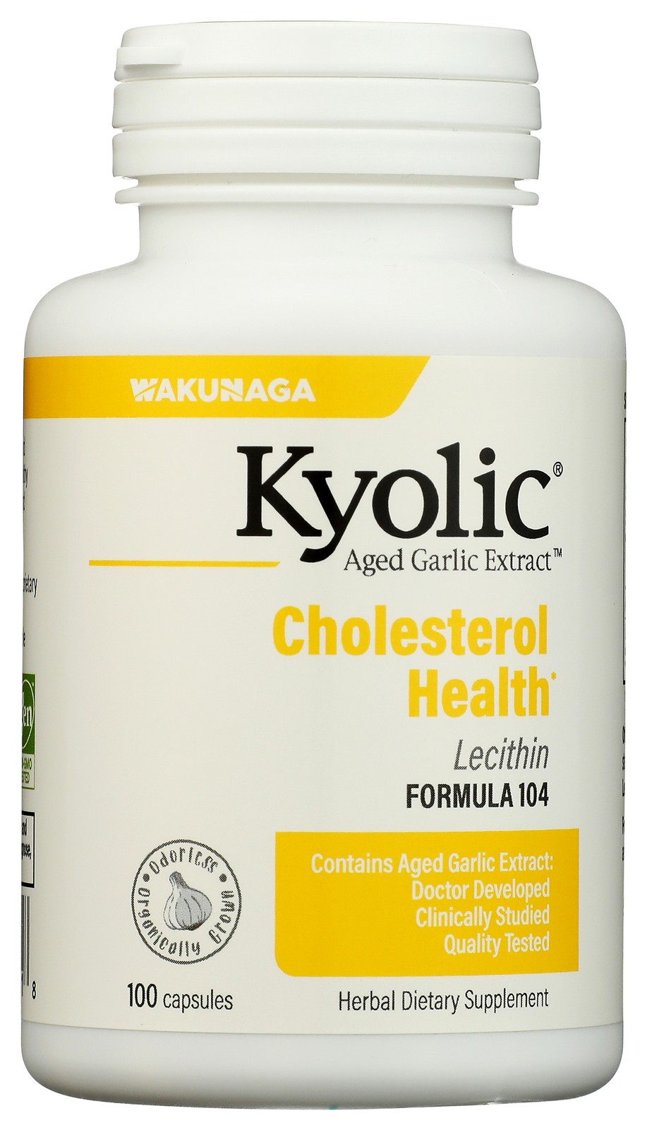 Kyolic Aged Garlic Extract Formula 104 Cholesterol Health 100 Capsules 1 Pack