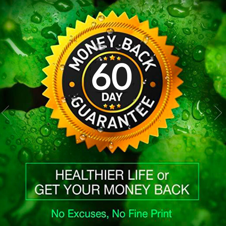 Wild Blueberry Extract Whole Fruit 360 Diet 1000 mg Capsules 10,000 mg Strength