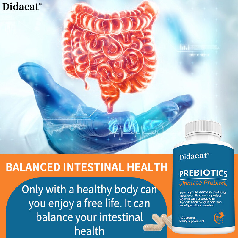 Prebiotic Supplement Protect Intestinal Health & Digestive System Health