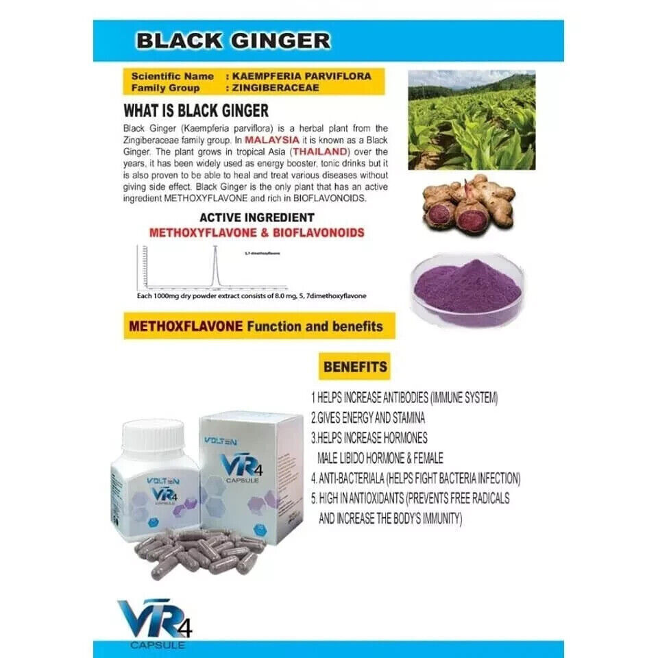 2x Volten VR4 Capsule Black Ginger Extract Plant Based General Health