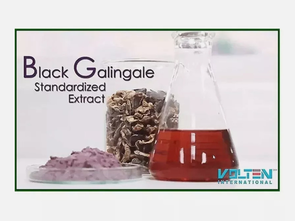 4 X Volten VR4 Capsule Black Ginger Extract Plant Based General Health