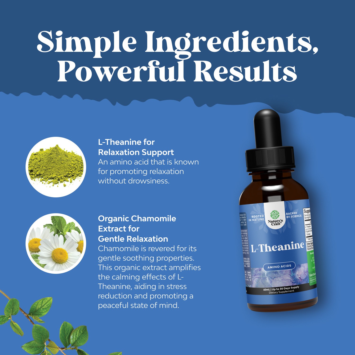 High Absorption L-Theanine Nootropic Focus Liquid Drops for Adults and Kids