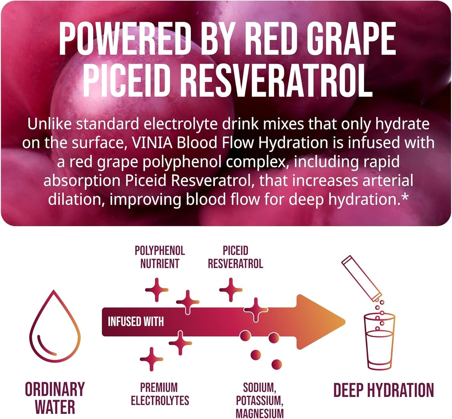 VINIA Resveratrol Electrolyte Hydration Powder Mix Variety Mix Blood Flow