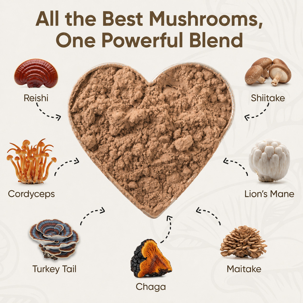 Suppello Mushroom Complex+ Powder – 13 In 1 Blend – 4.23 oz (60 Servings)