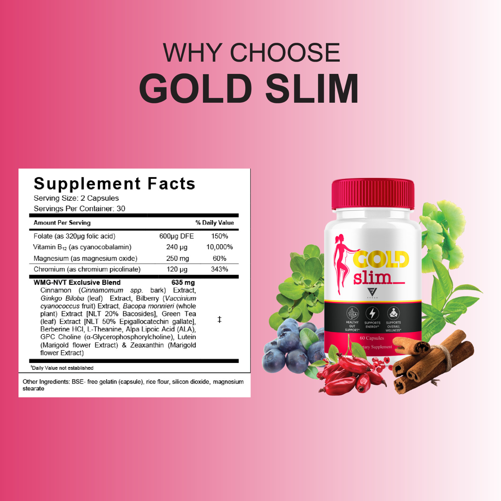 (5 Pack) Gold Slim Keto Supplement, GoldSlim Wellness Support (300 Capsules)