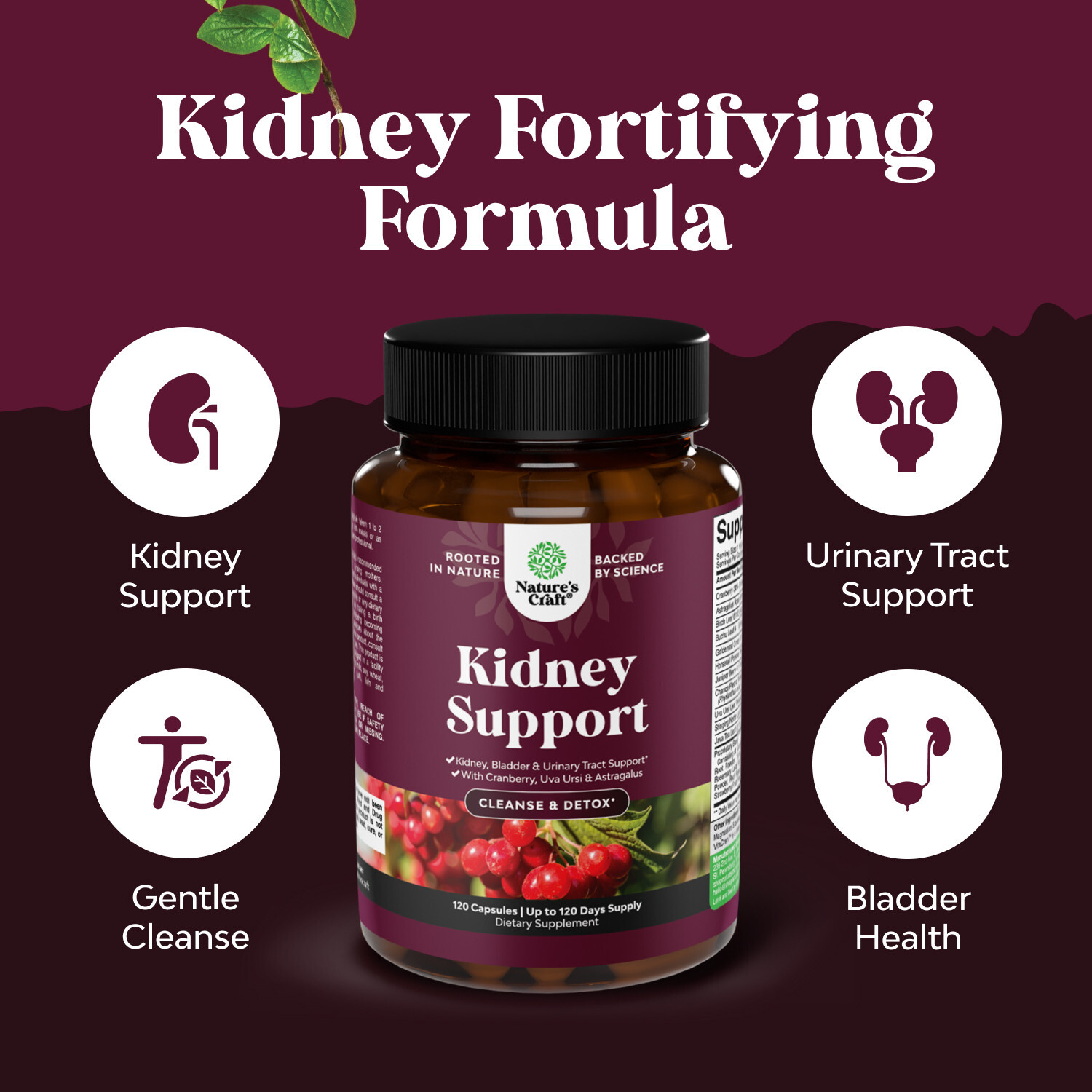 Kidney Support Cranberry Supplement – High Strength Kidney Cleanse Detox 120ct