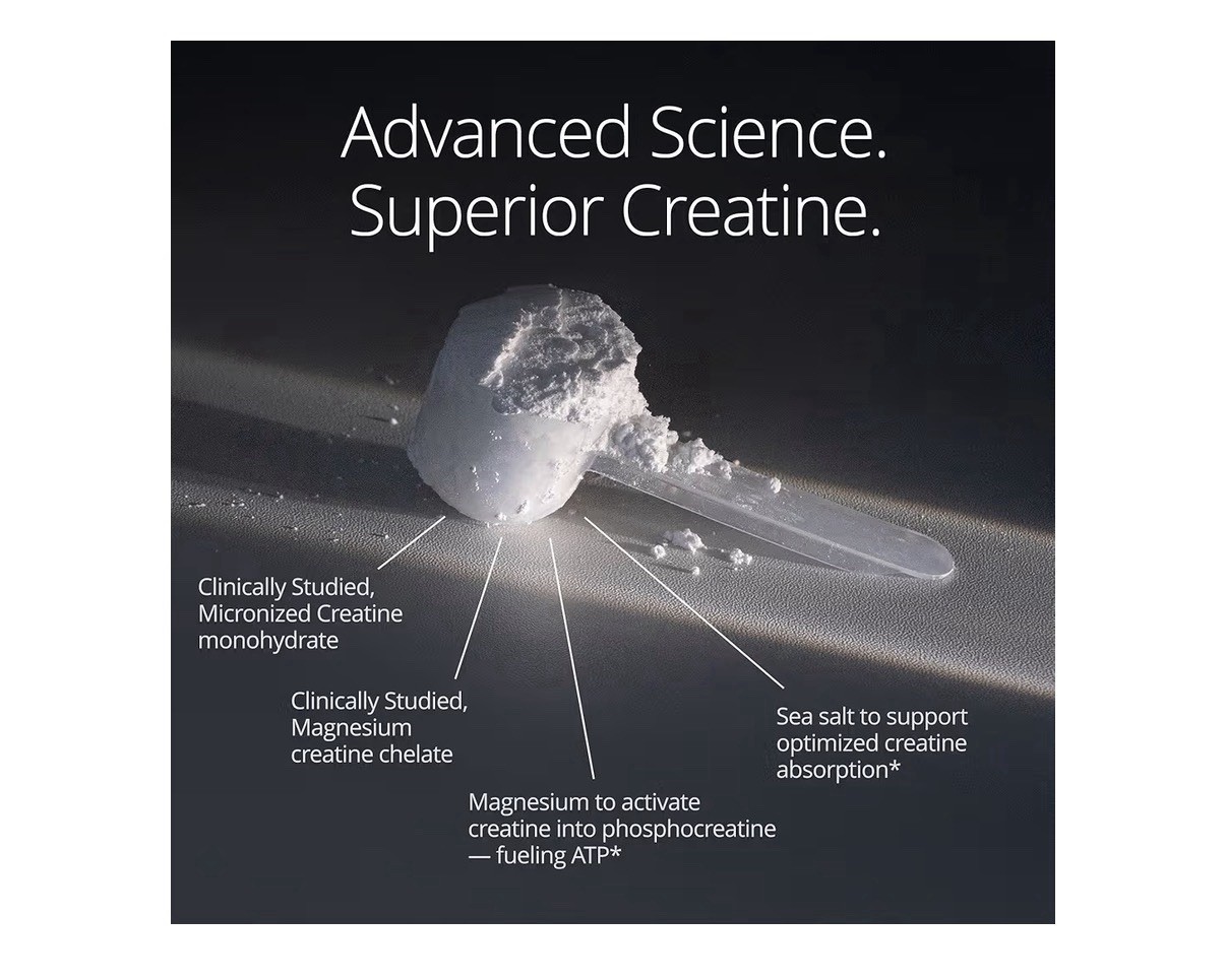 Qualia Creatine+ Advanced Creatine Complex Muscle Performance Health Aging 4.6oz